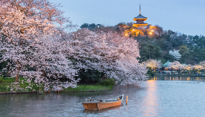When is the best time to visit Japan?